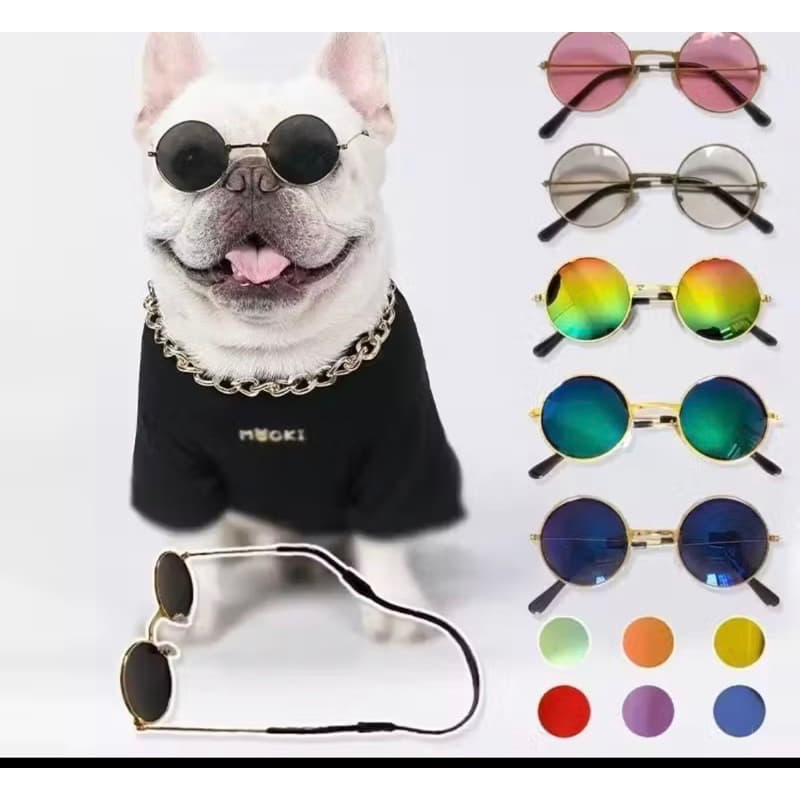 óculos pet gato cachorro 8cm várias cores divertido newborn recém nascido