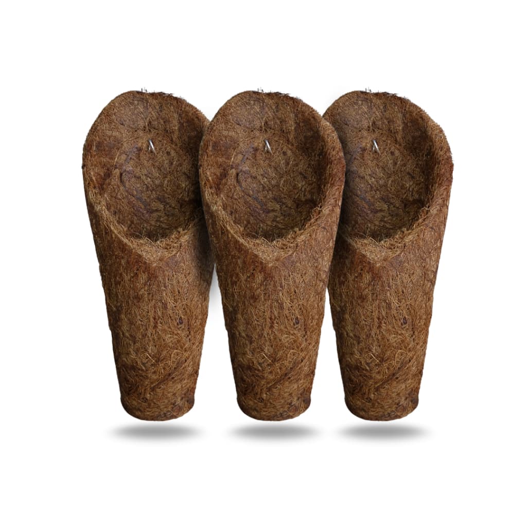 Vaso Cachepot Para Orquídeas Fibra de Coco Modelo Concha Tamanho M (Médio) 3 Unidades
