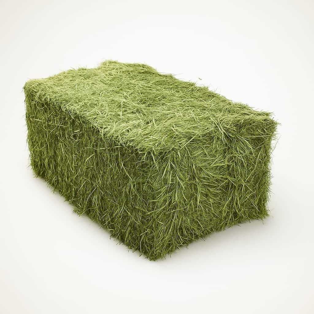 Feno Verde Coelho e Roedores Premium Excelente - ENVIO IMEDIATO