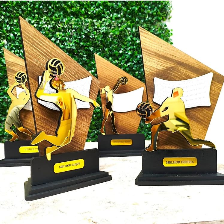 Troféu Vôlei Melhores em Quadra Premiação individual Masc. Fem. Acrílico Mdf - 25 CM pronta entrega