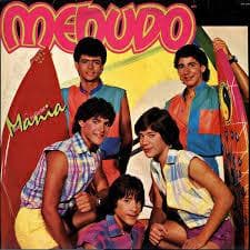 DISCO DE VINIL MENUDO