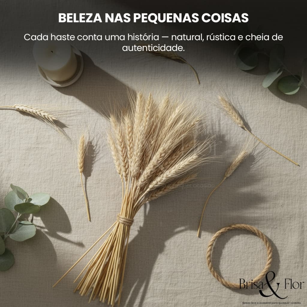Raminhos de Trigo Seco Decoracao Natural Flores Desidratadas Arranjo Enfeite Luxo Sala Mesa Vaso