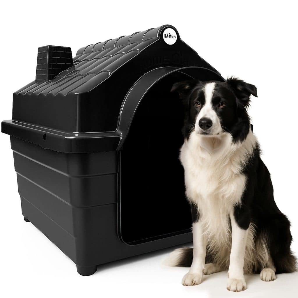 Casinha Plástica Cachorro N6 e N7 Porte Médio Com Colchonete