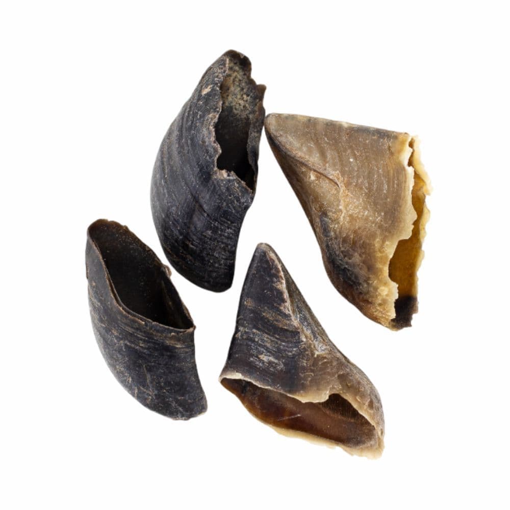 Casco Bovino Kit 10un Mordedor 100% Natural