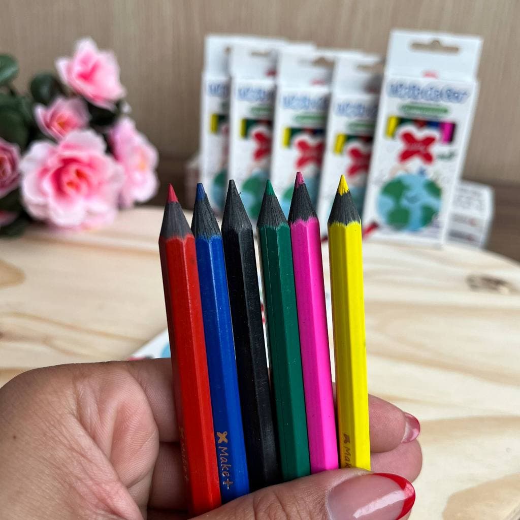 Lapis De Cor  Curto ECO 24 Caixinhas 6 CORES Sort. Gatte Kids