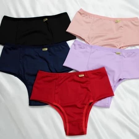 Kit 5 Calcinhas Cintura Alta Pala-Dupla Confoto Micro Fibra - PÓS PARTO E DIA A DIA