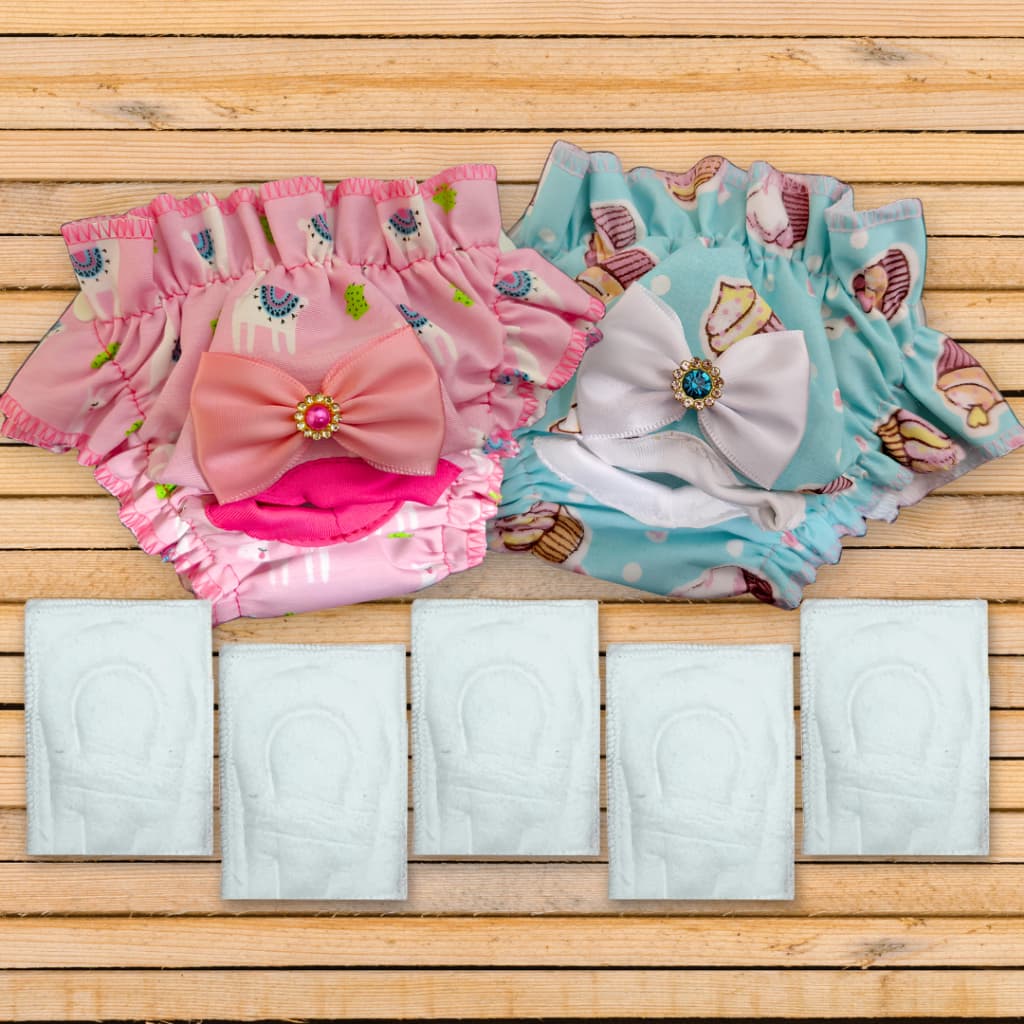 Kit 2 Calcinha Higiênica Pet - 5 Absorventes Cães Cachorra Proteção Cio