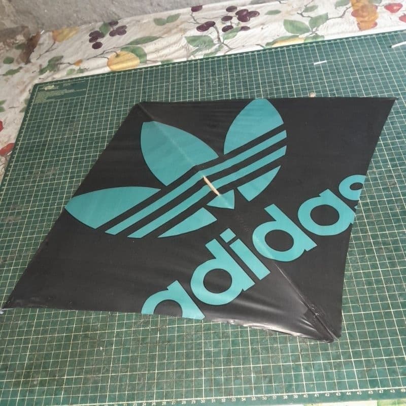 RAIA VELOZTER+PCT10und+cabresto