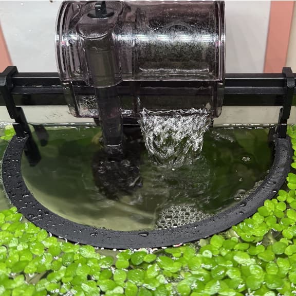 Anel Flutuante para Hang On em Aquário Plantado | Evita que Plantas e Peixes Sejam Sugadas Aquarismo