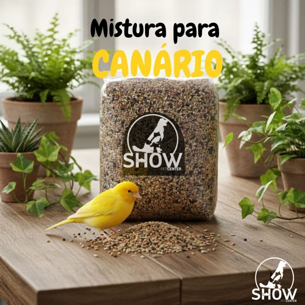 ​Mistura Premium de Sementes para Canários 1kg | Alimentação Nutritiva com Alpiste, Aveia e Linhaça