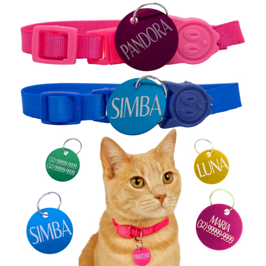 coleira gato pet personalizada com plaquinha de identificação