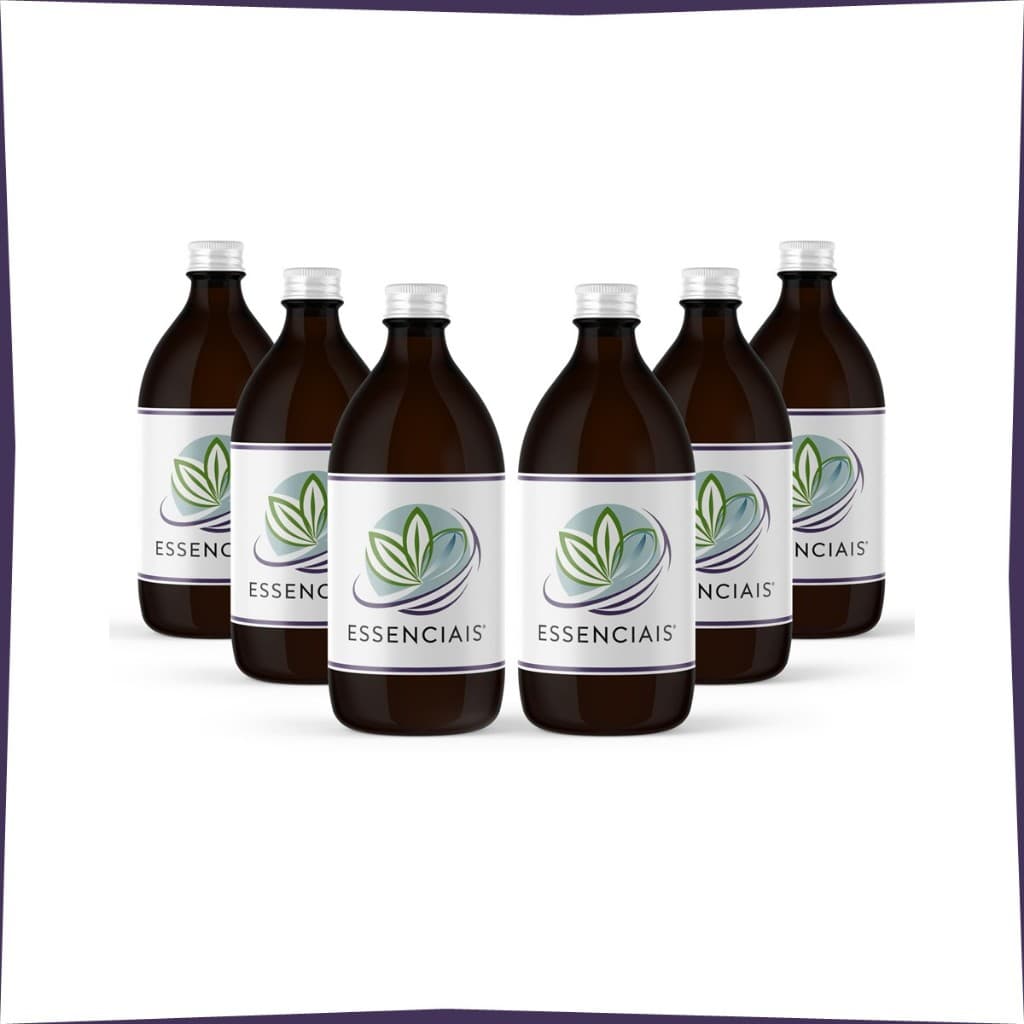 Kit 6 Essências Hidrossolúveis - 100ml | Escolha Suas Fragrâncias pelo Chat | Essenciais