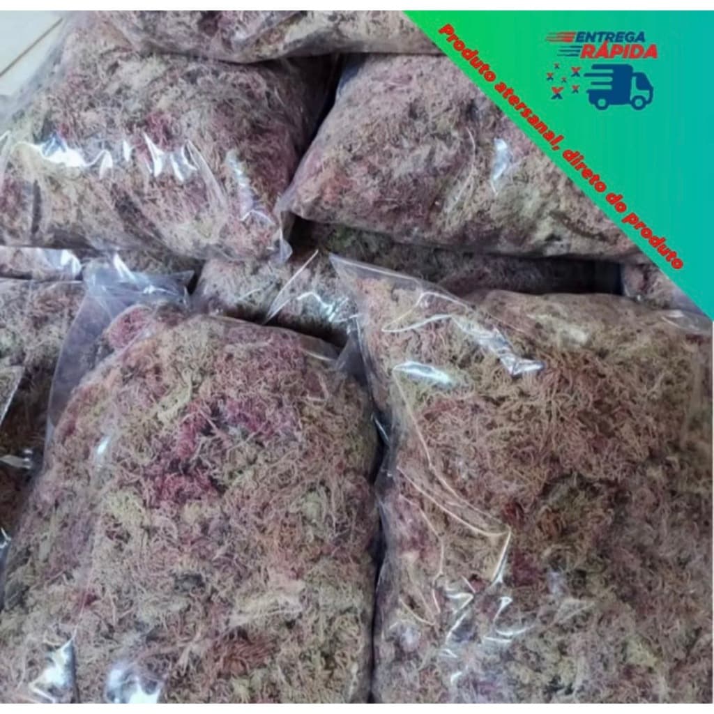 Musgo Esfagno Orgânico Substrato Orquídeas Sphagnum