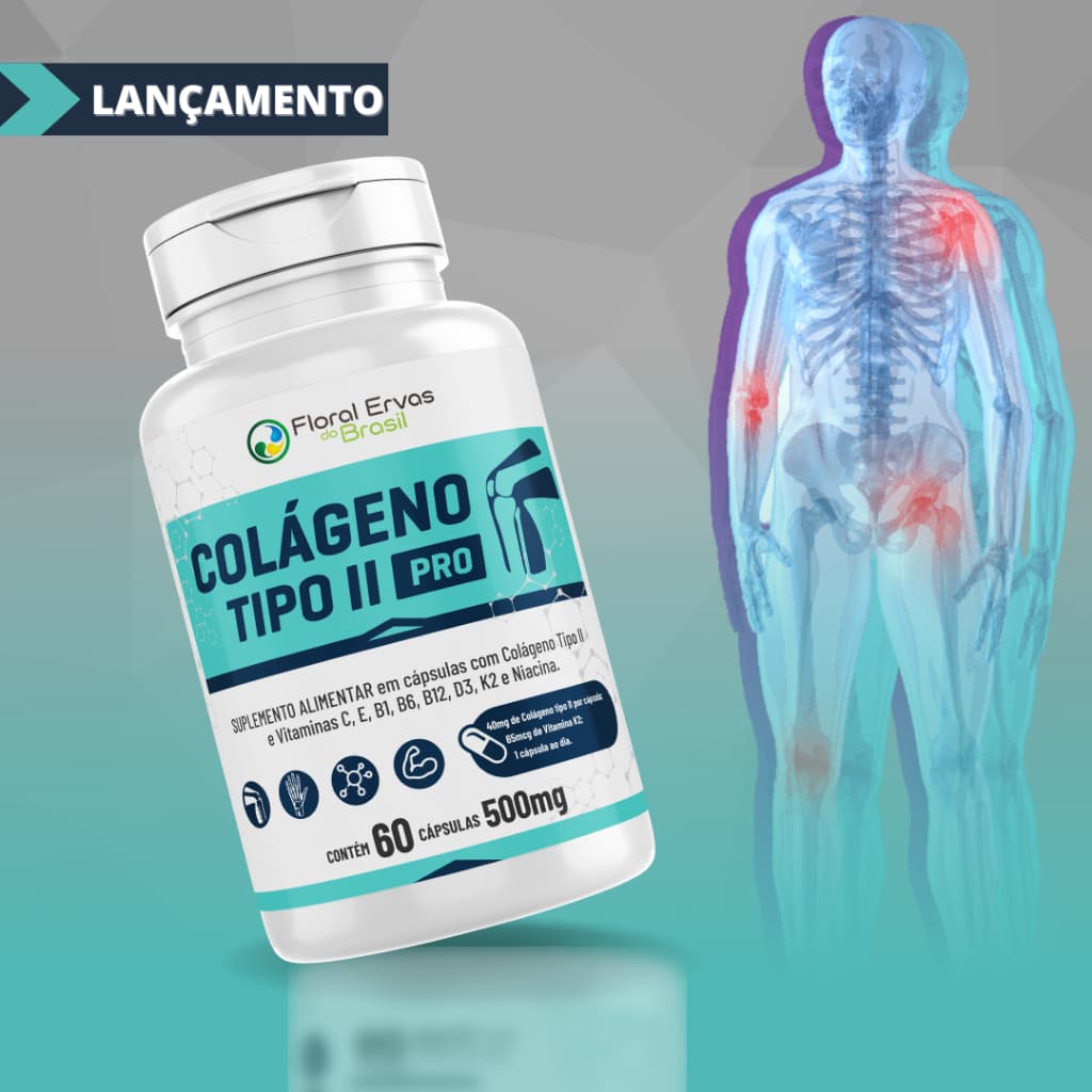 Colágeno Tipo 2 II 500mg 2 Meses de uso + Vitaminas C e B6 b1 B12 D3 K2 e Niacina - Articulções