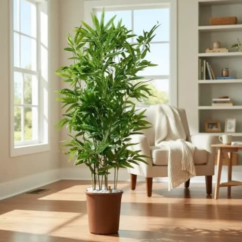 Bambu Mosso Artificial, Planta Artificial, Decoração, Bambu da Sorte, Planta Realista