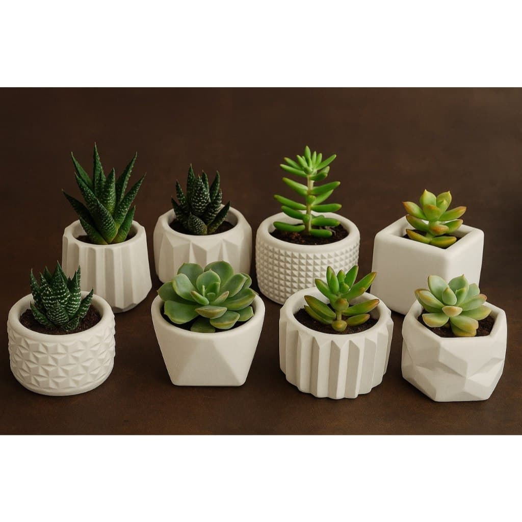Kit até 8 Vasinhos Decorativos  para Plantas Artificiais