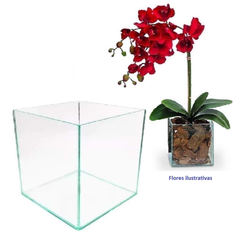 Cachepô de Vidro Cubo Decoração para arranjo de mesa Floreira Vidro Aquário