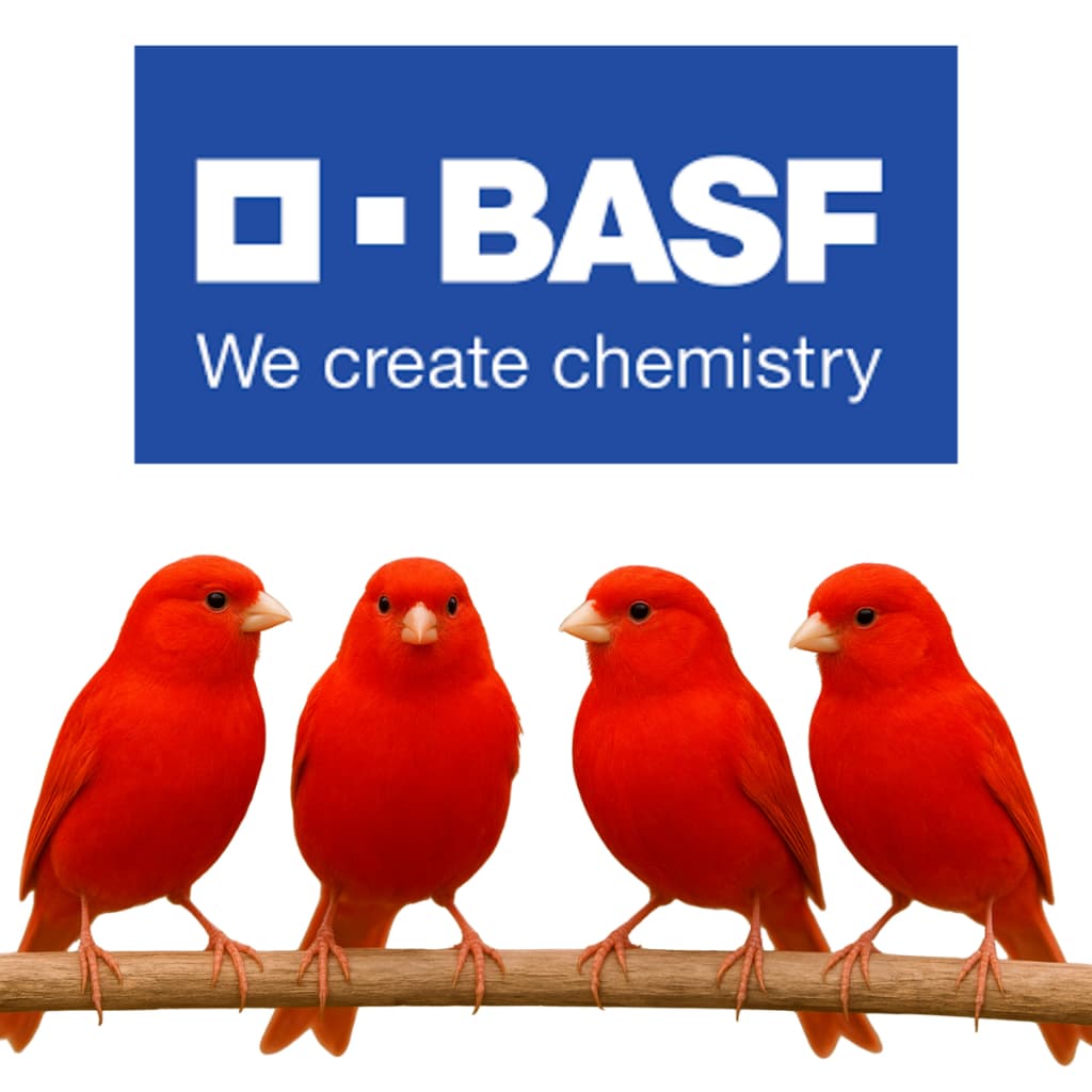 Cantaxantina BASF Importada Original 100% Pura Vermelha