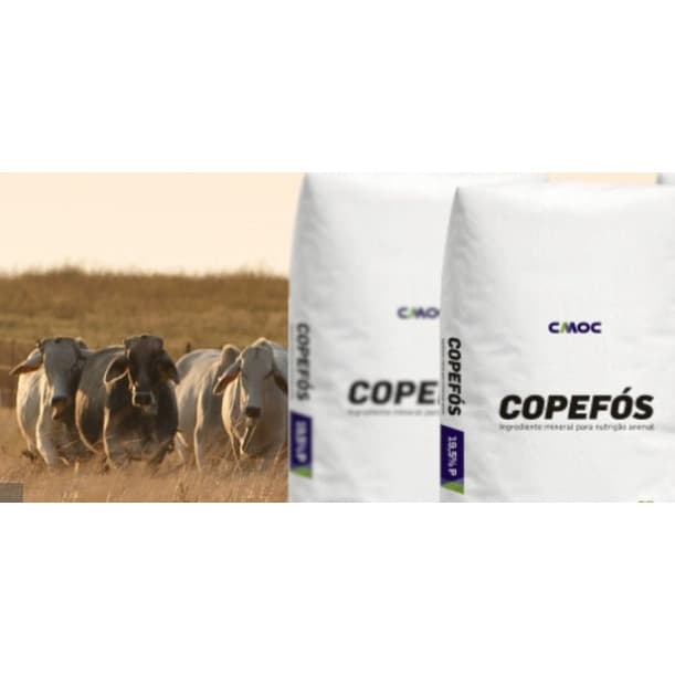 Fosfato Bicálcico 19,5%  p/ Aves, Suínos e Bovinos