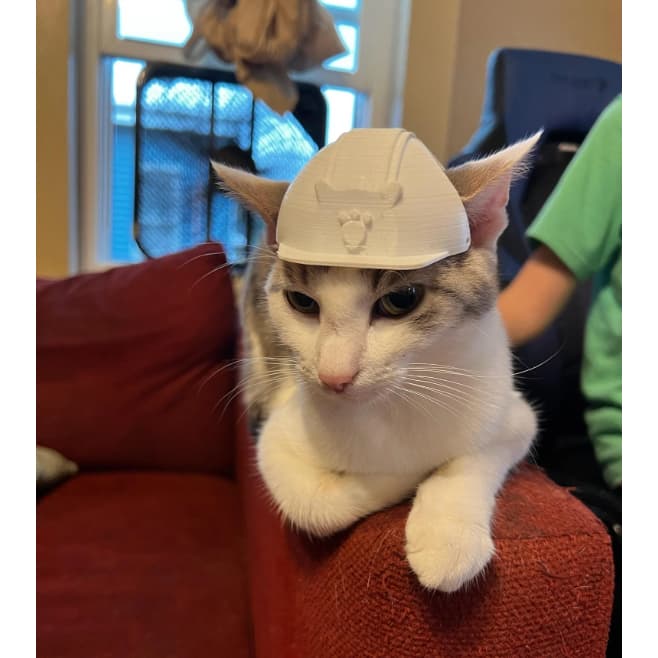 Chapéu para gato patinha