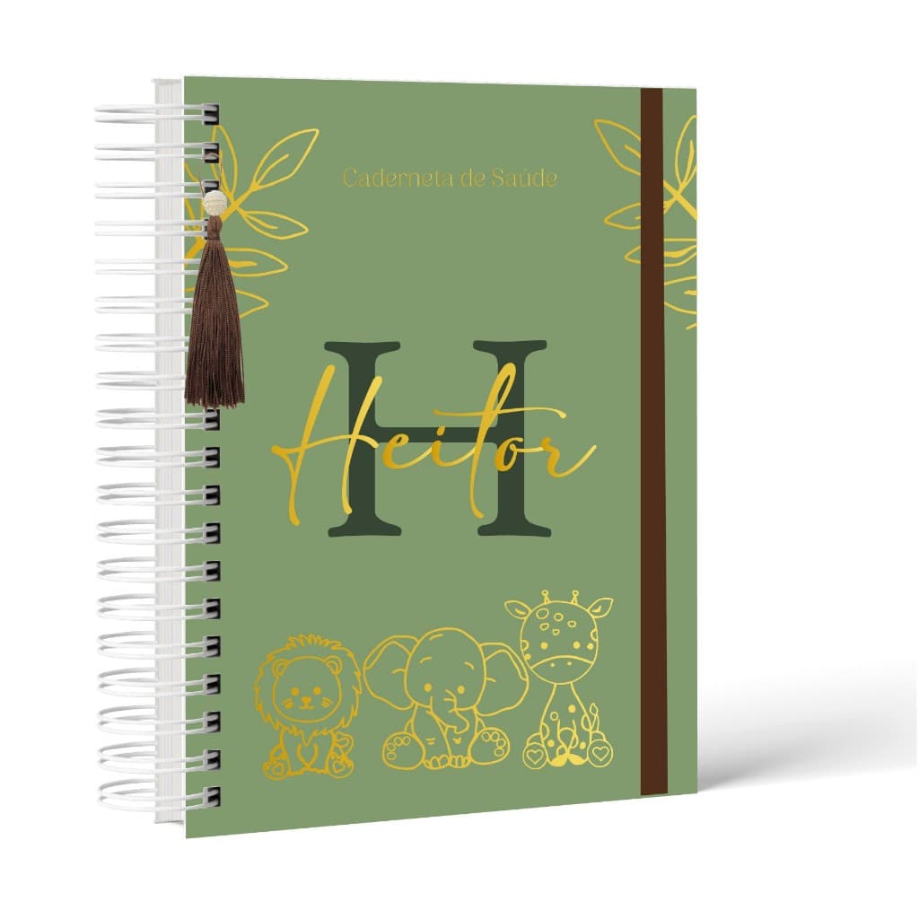 Caderneta de Vacina Personalizada Atualizada com Nome e Tema Exclusivo!
