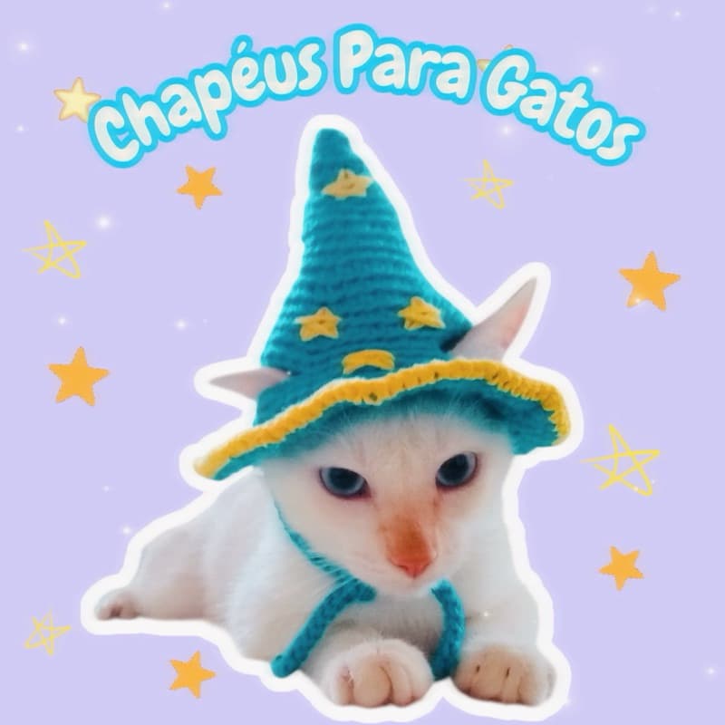Chapéu De Mago E Bruxa Para Gatos Em Crochê Halloween Pets