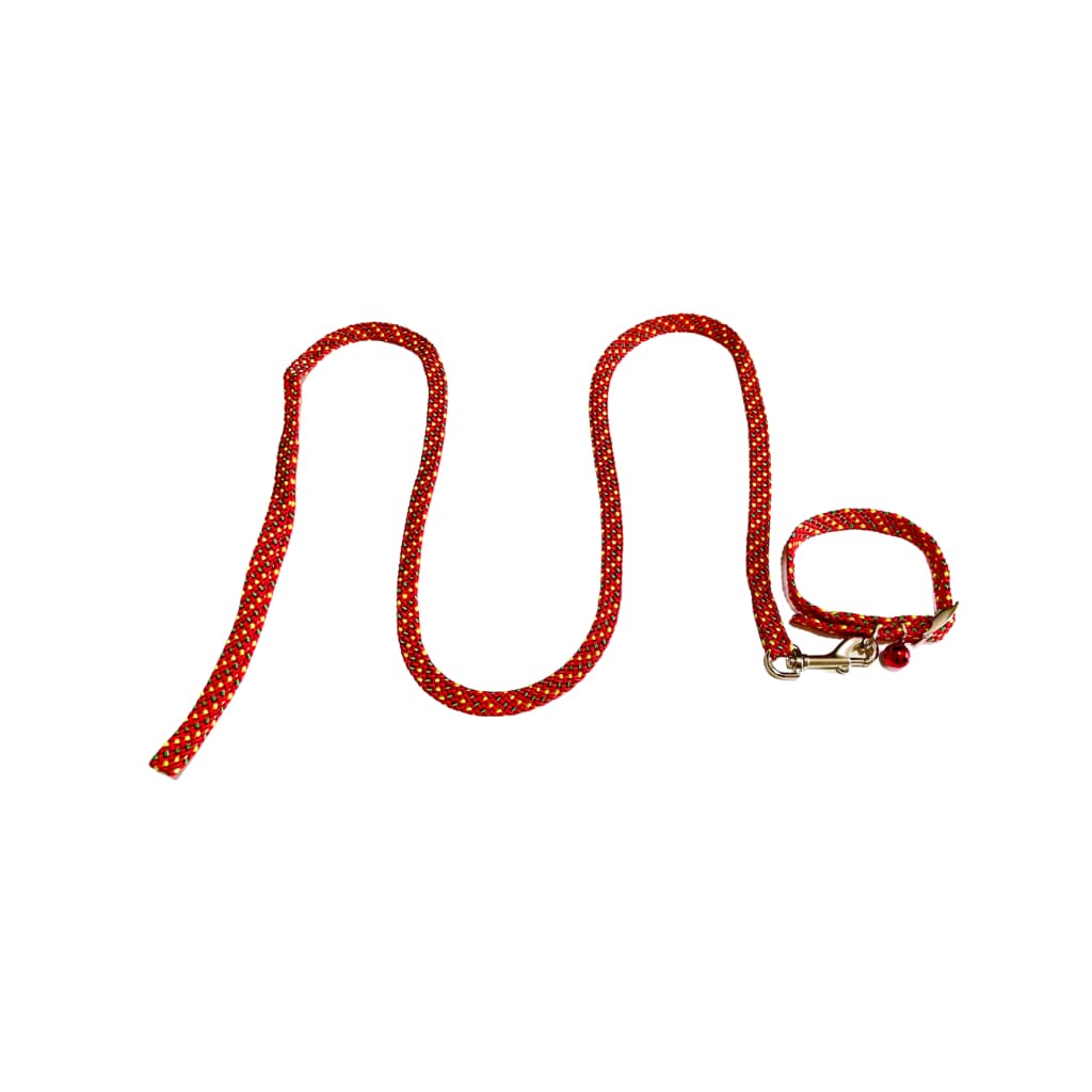 Coleira Para Cachorro E Gato Com Guia Detalhe Quadros