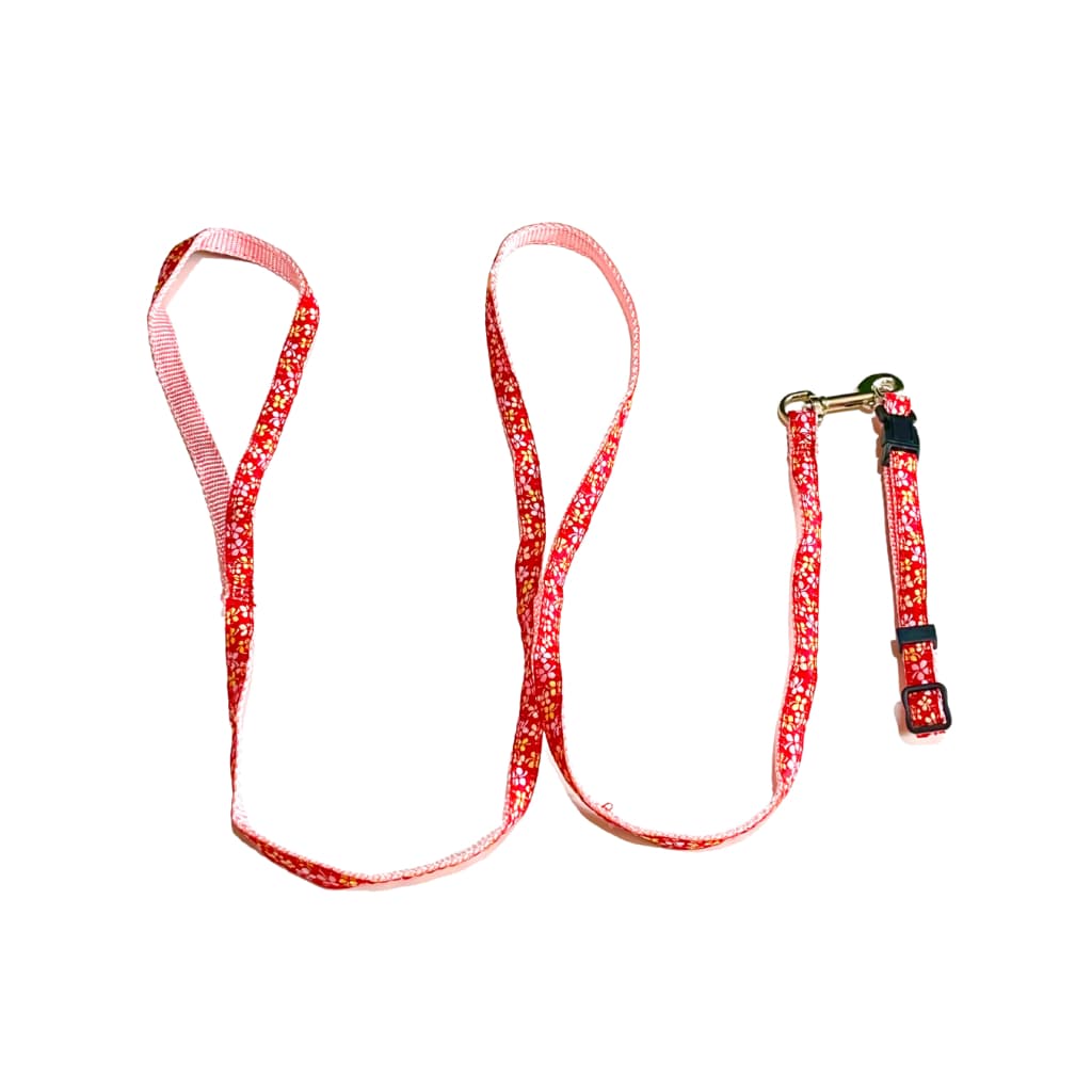 Coleira Para Cachorro E Gato Com Guia - Floral