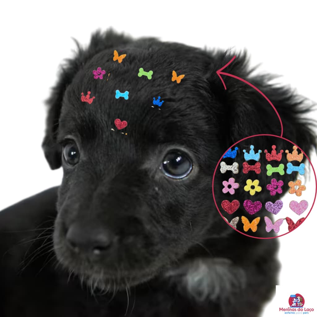 Kit de 300| 200| 100 Adesivinhos para Pet - filhote - Cola Premium