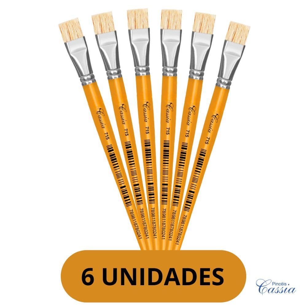KIT 6 PINCEL ESCOLAR PINTURA CHATO ARTISTICO GUACHE CABO LONGO ARTESANATO - PINCEIS CASSIA