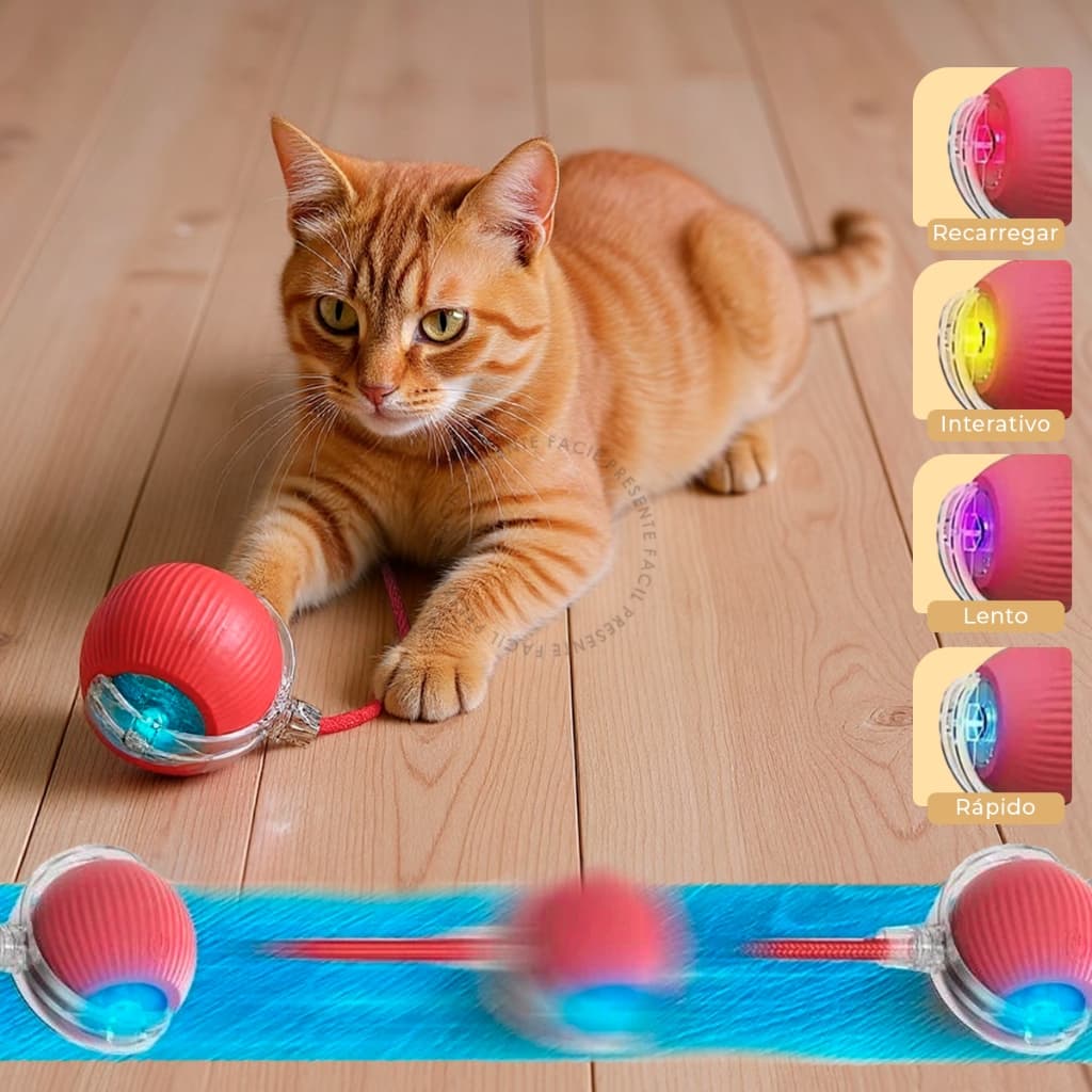 Brinquedo Inteligente Para Gato Bola de Rolamento Automático Cauda Falsa Interativo Recarregável Elétrico