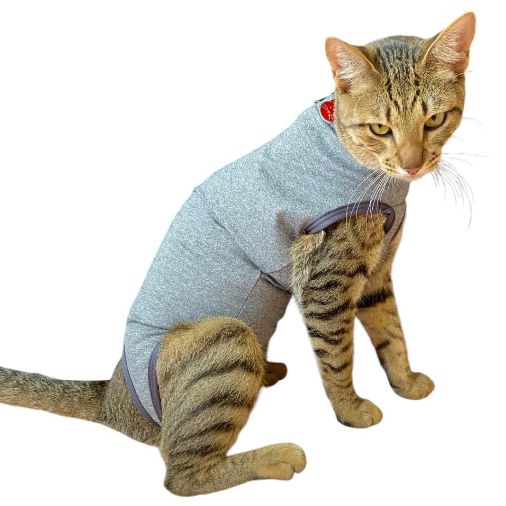 Roupa Macacão pós cirúrgica para Gatos macho ou fêmea