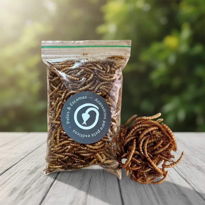 Tenébrio Desidratado Molitor Nutricional para Aves e Répteis 30g