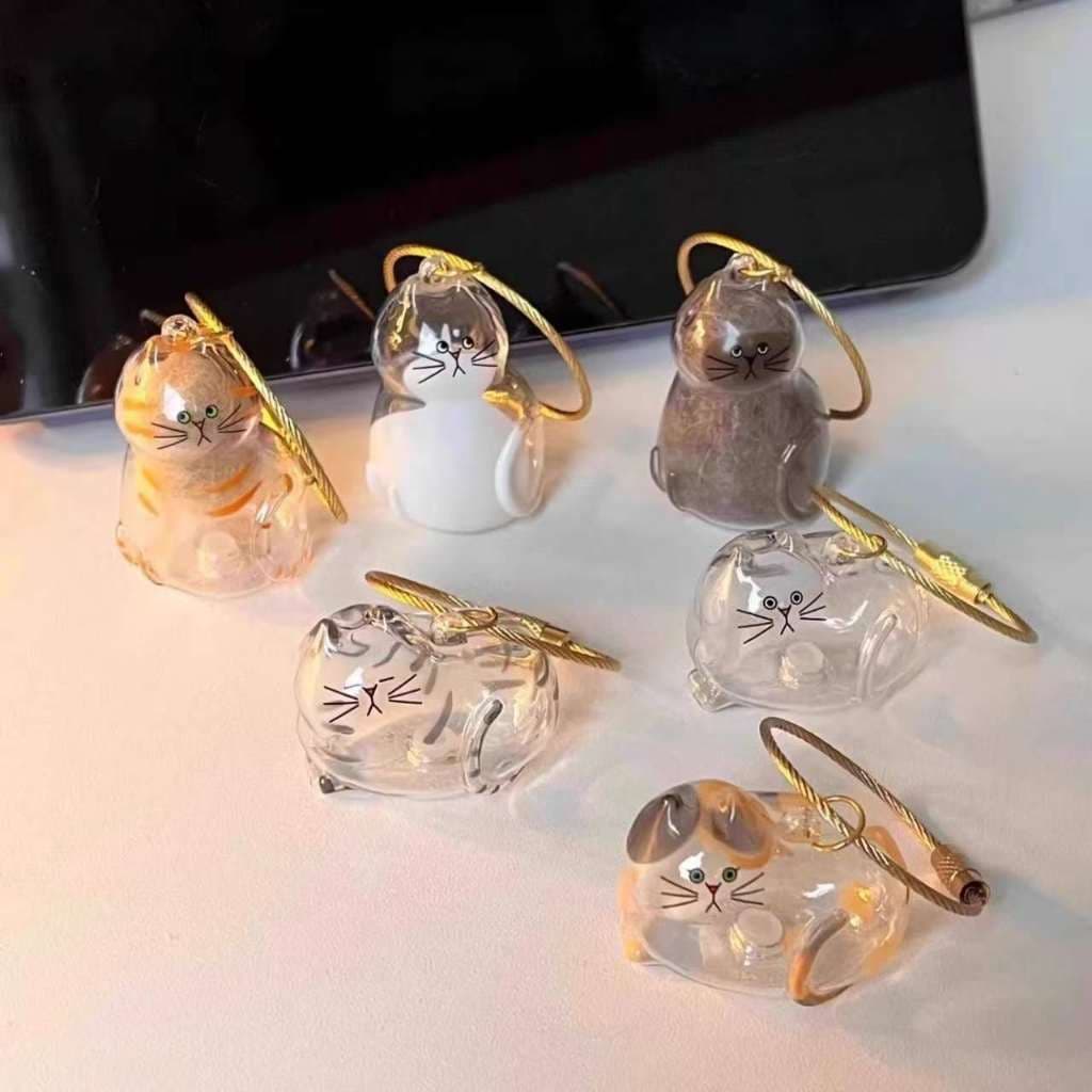 Chaveiro Criativo De Armazenamento De Cabelo Fofo Gato Pingente Transparente Para Animais De Estimação