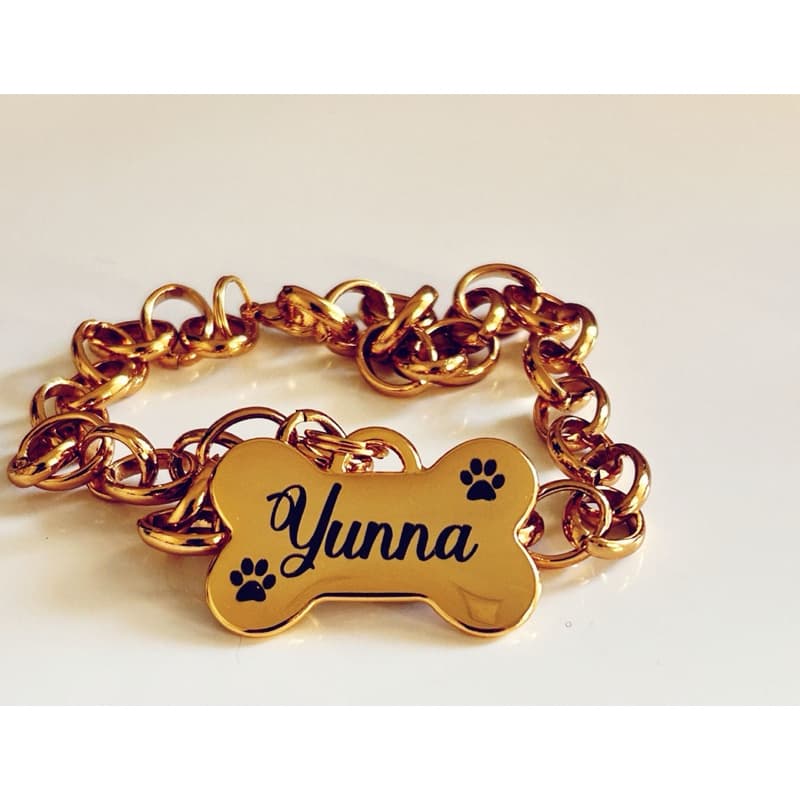 Plaquinha Dourada com correntinha de LUXO - Gravado Laser, Plaquinha de indetificação Para Cachorro e Gato