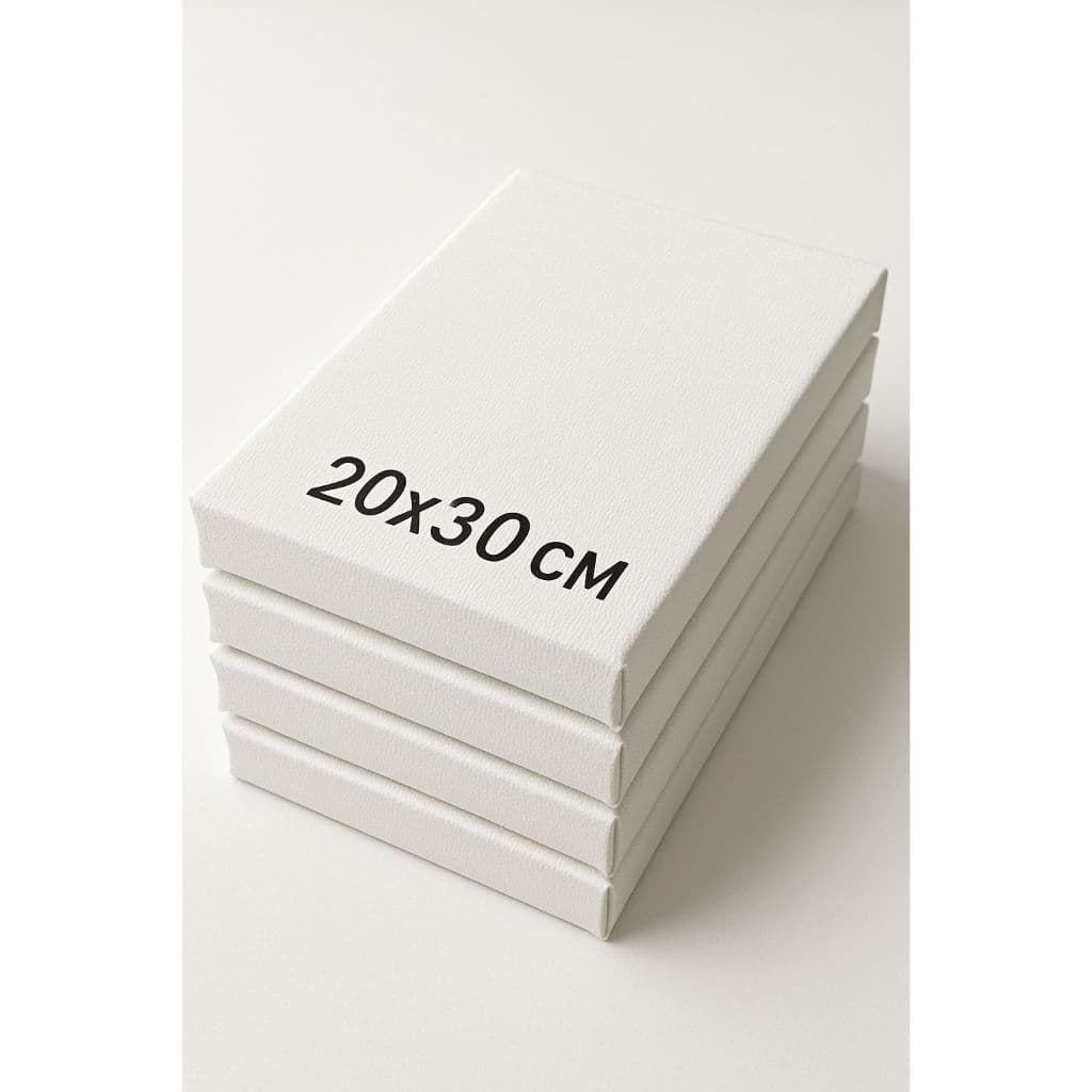 Tela para pintura 20x30 para arte, diversão, entretenimento