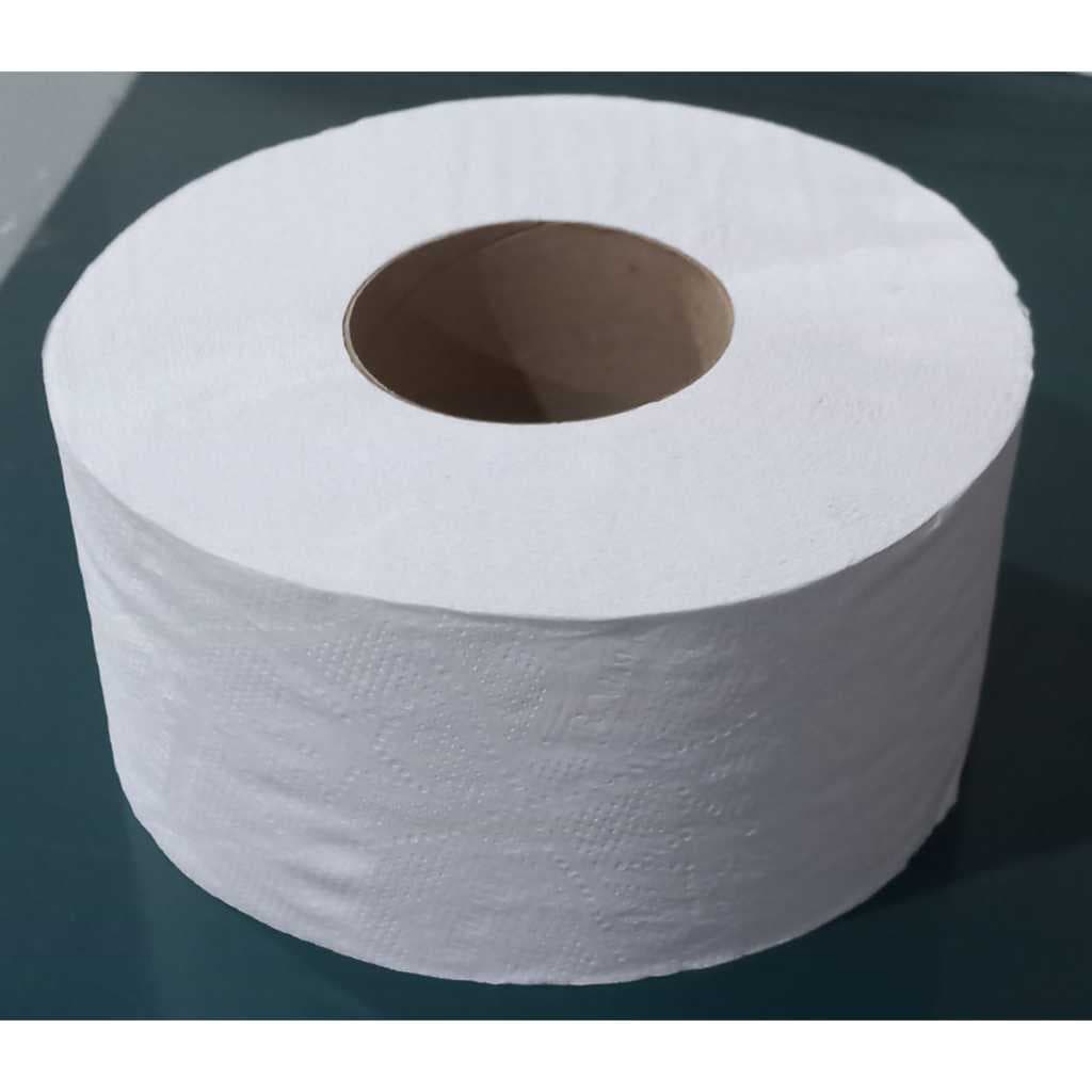 01 Rolo Papel Higiênico com 300 metros Soft