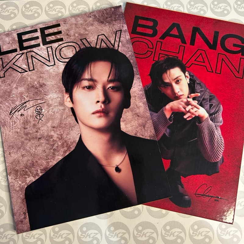 Plaquinha decorativa Stray Kids MDF 18x13cm (OT8)