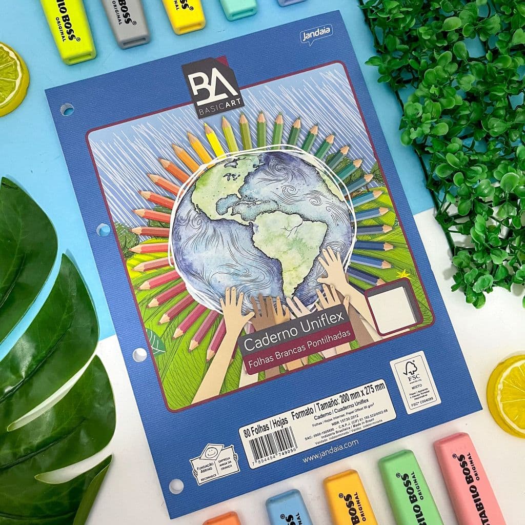 Refil Pautado Pontilhado Universitário Basic Art  Compatível Fichário Grande 20 x 27,5 cm 80 Folhas - Jandaia