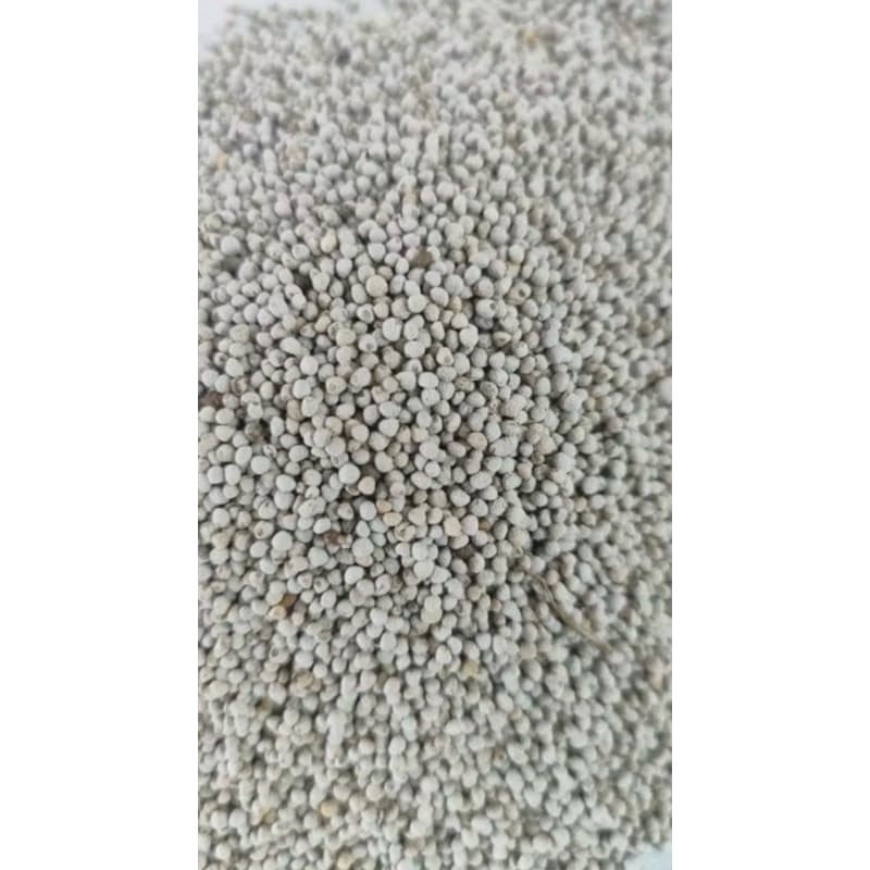 Perila branca 100 gramas