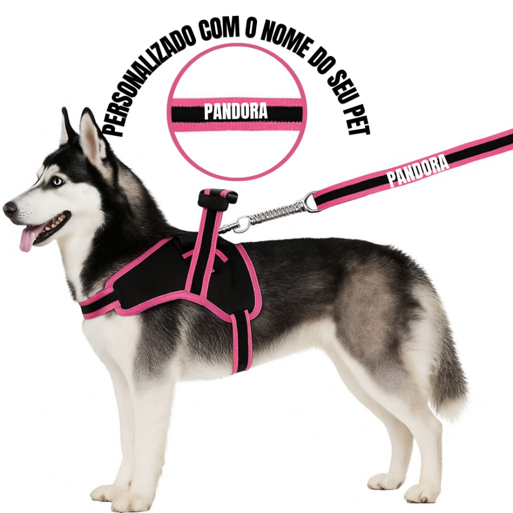 Coleira e Guia para cachorro nome personalizado Peitoral pequeno médio grande porte super resistente