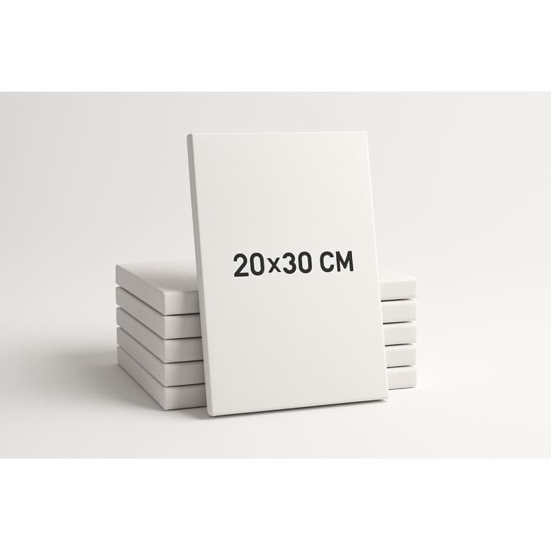 Kit 3 Telas para pintura 20x30 para arte, diversão, entretenimento