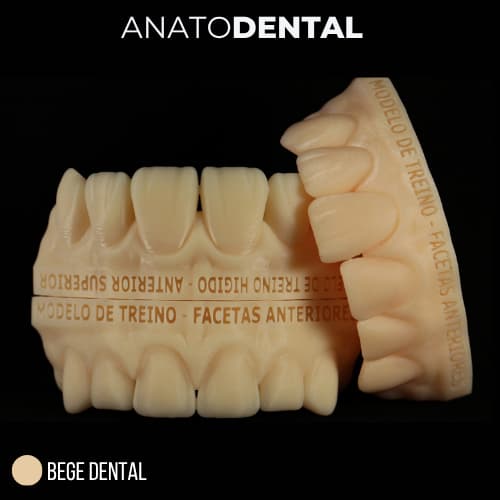 KIT MODELO DE TREINO - ANATOMIA VESTIBULAR EM DENTES ANTERIORES | ANATOMIA DENTAL