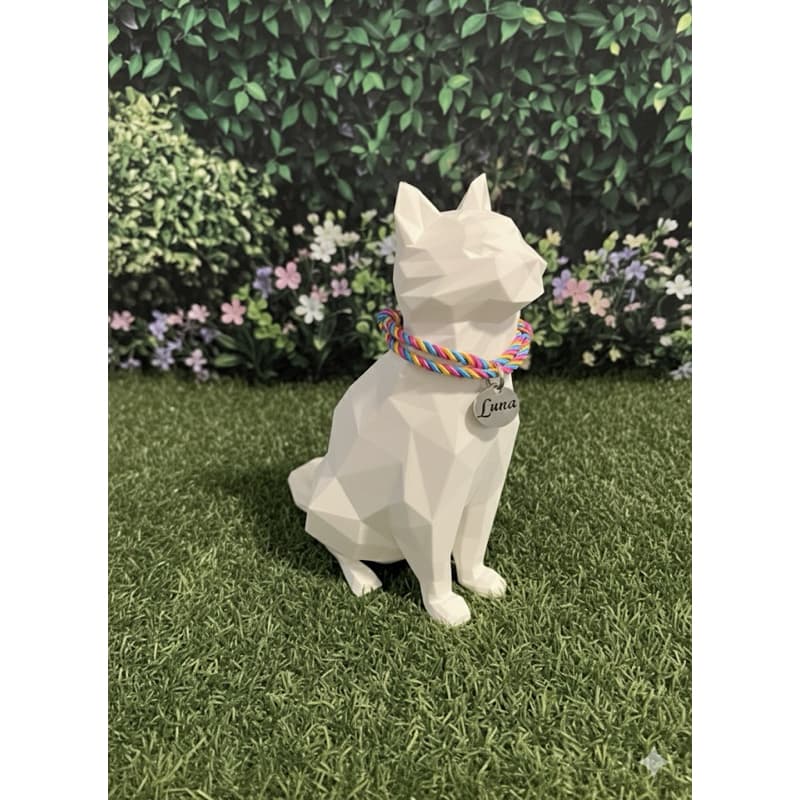 Coleira Gato Cachorro Pequeno Porte Trançada Ajustável com Nome do Pet Personalizada