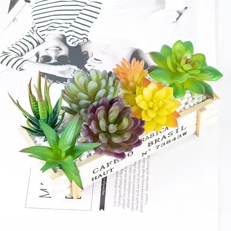 3 a 12 PCS Mini Suculentas Realistas Artificiais SORTIDAS Estilos Cores Misturados - Pequena