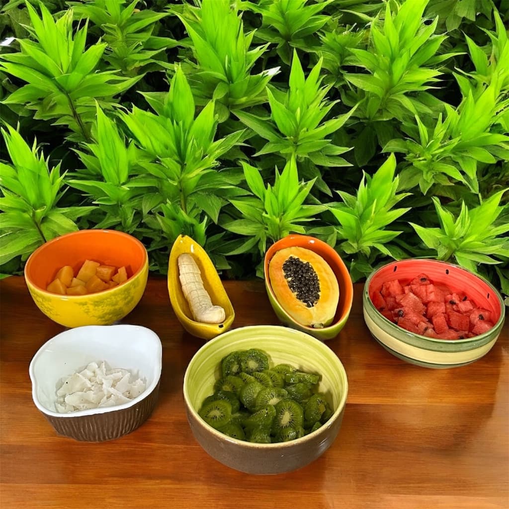 Bowl de Frutas Decorado Feito de Cerâmica Para Cozinha Pintados á Mão