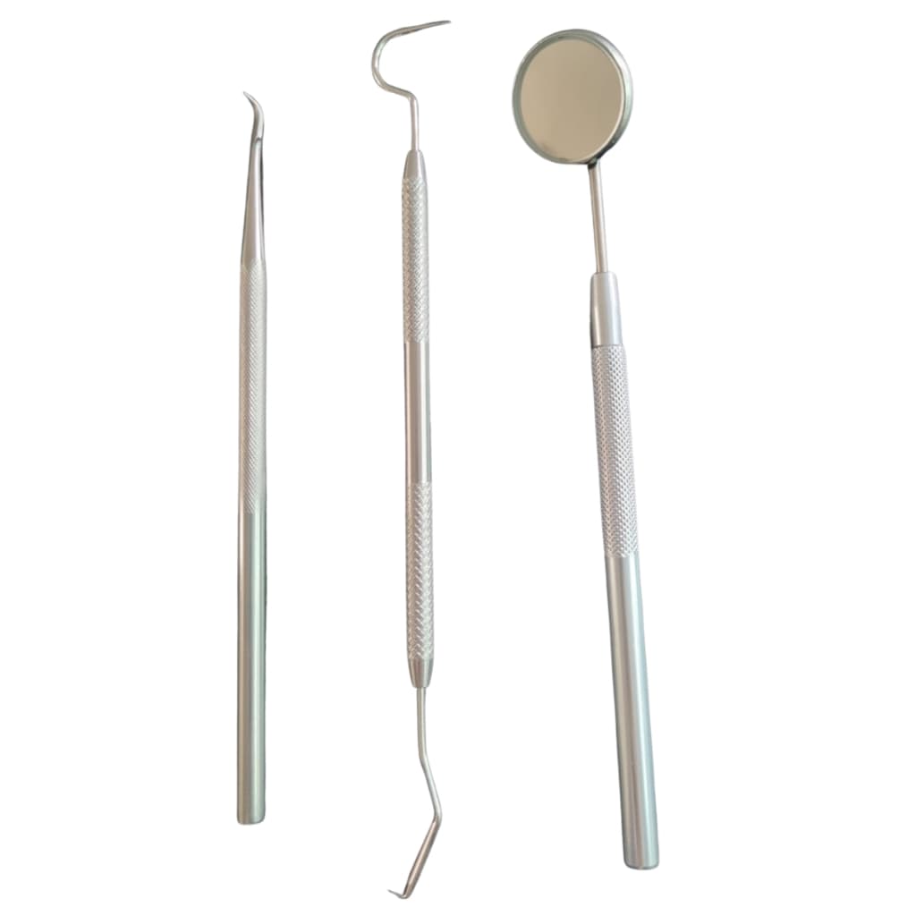 Kit Limpeza de Dente 3 Peças Sonda Exploradora, Extrator de Tartaro Espelho com Cabo Anvisa Aço Inox