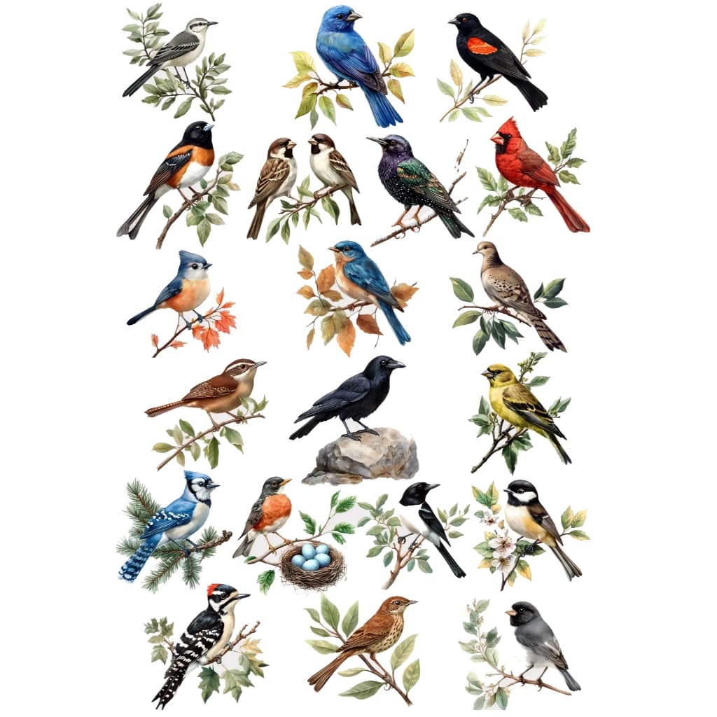 Decalque Porcelana Forno Caseiro - Passarinhos Cardeais M