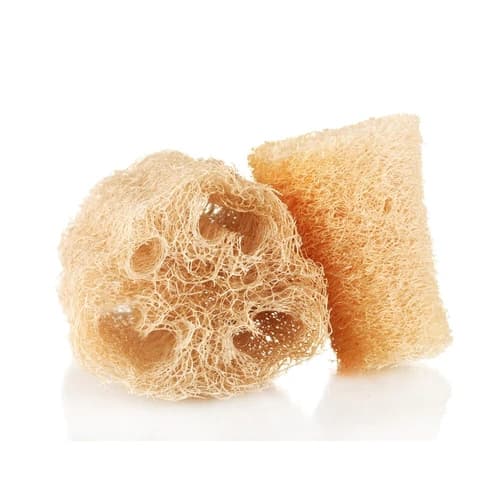 Kit 2 Buchas Vegetal Pedaço Natural Banho GRANDE