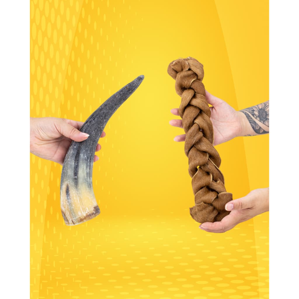 COMBO - Bruto e Rústico - Couro Trançado + Chifre Bovino Grande